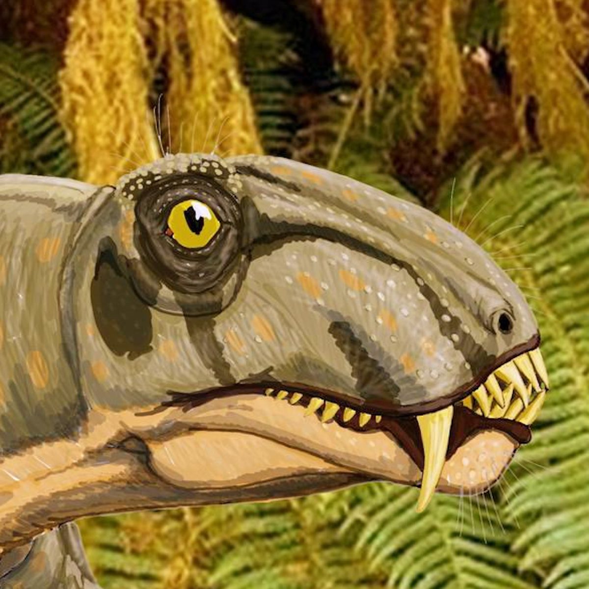 Stenocybus ist ein Reptil, das zu Beginn der Permzeit auf der Erde lebte. Alternativtext: Gezeichneter Kopf und Hals der Riesenechse, mit hellgrüner Haut, dunkelgrünen Streifen am Kopf, einem großen Auge, einem hervorstehenden Gebiss und einem seitlich sichtbaren, nach unten stehenden Säbelzahn.